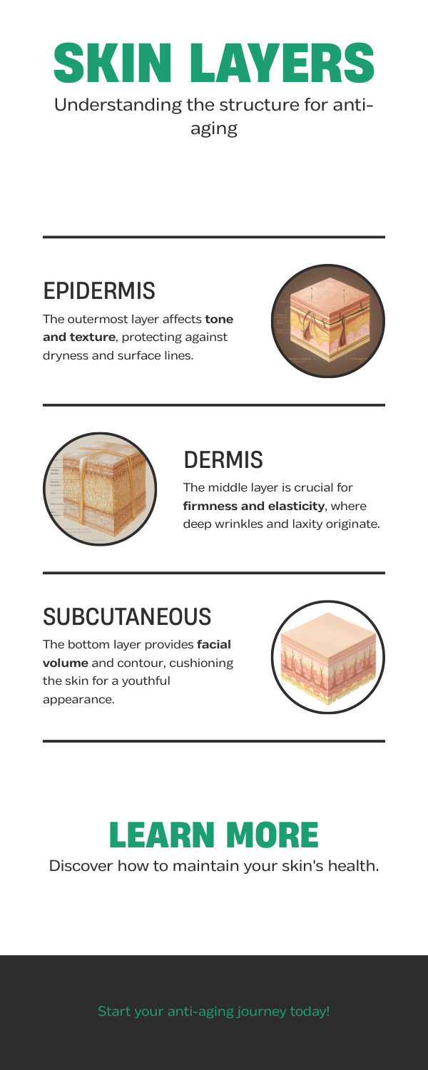Cross-section diagram of the three skin layers: epidermis, dermis, and subcutaneous tissue